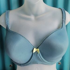 Victoria's Secret Lined  Demi Turquoise Bra 38DDD